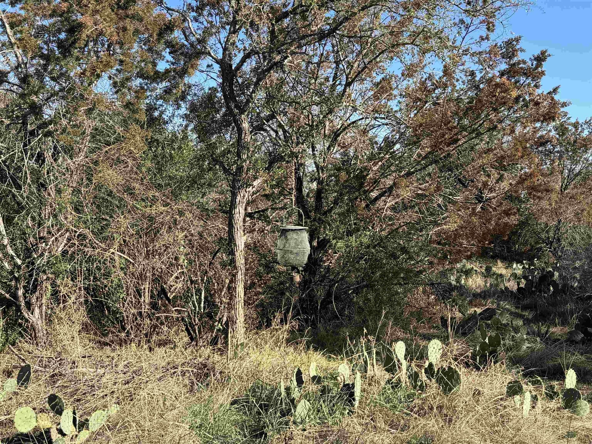 5 acres in Burnet County - photo 19