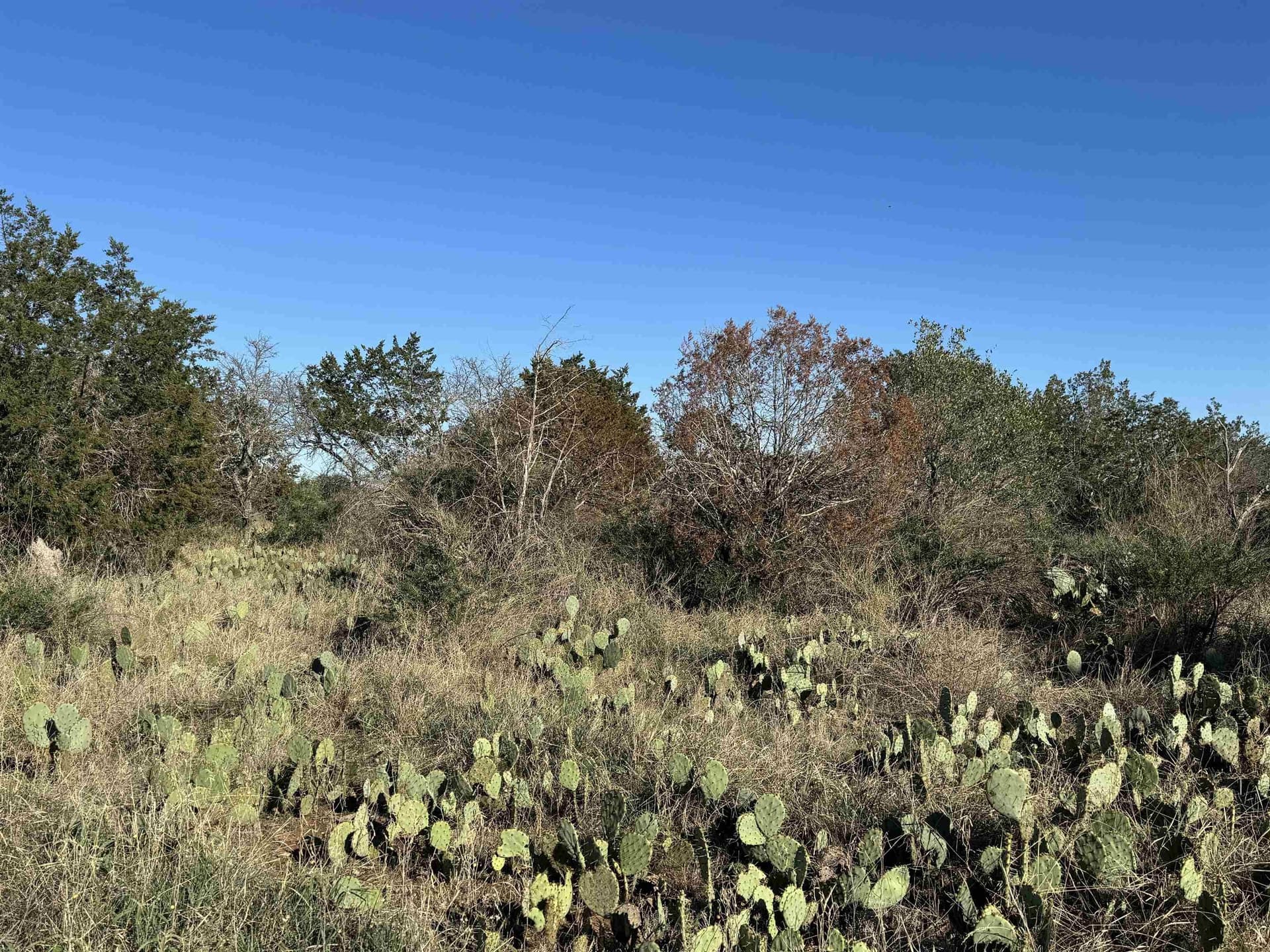5 acres in Burnet County - photo 17