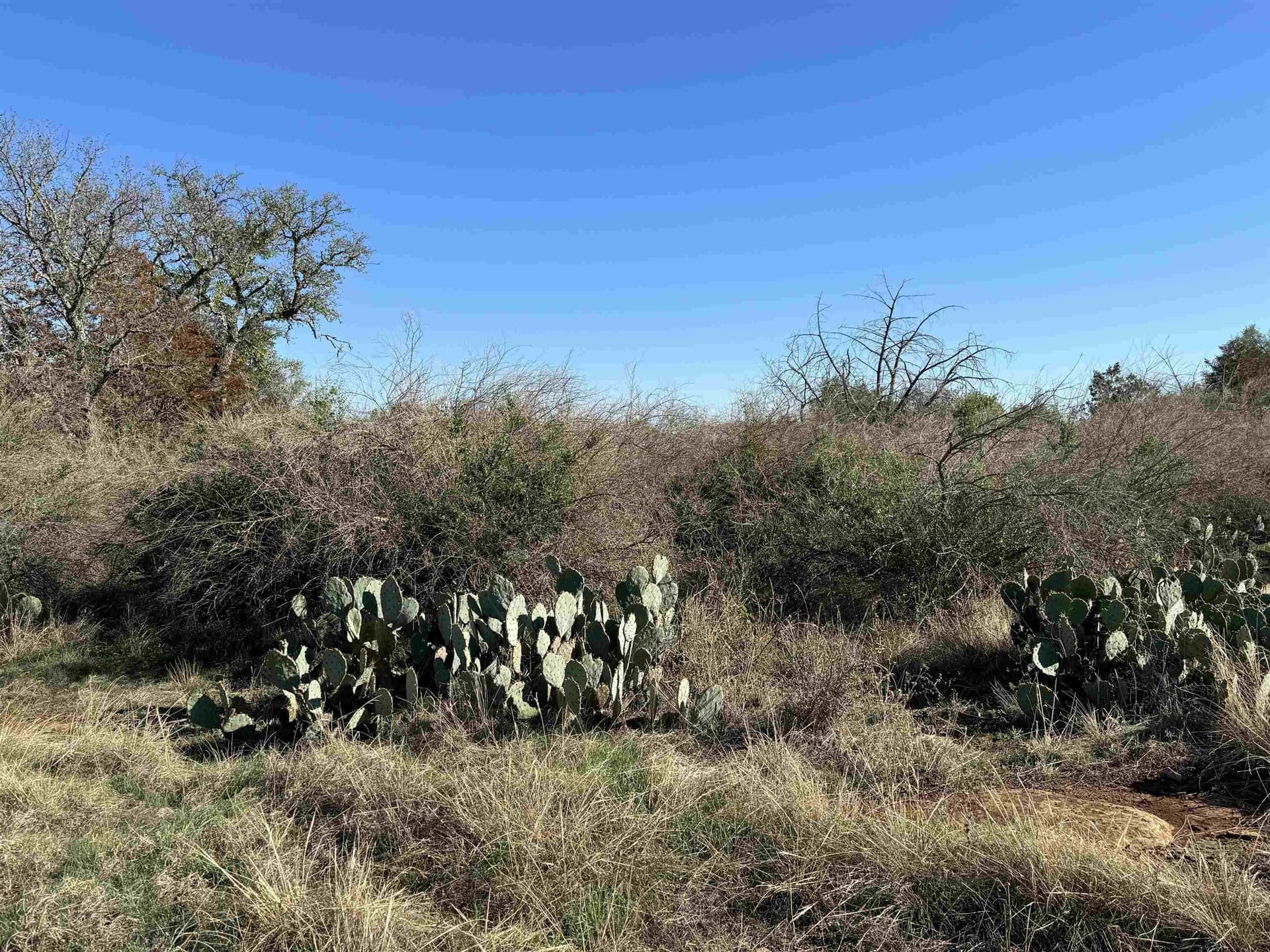 5 acres in Burnet County - photo 9