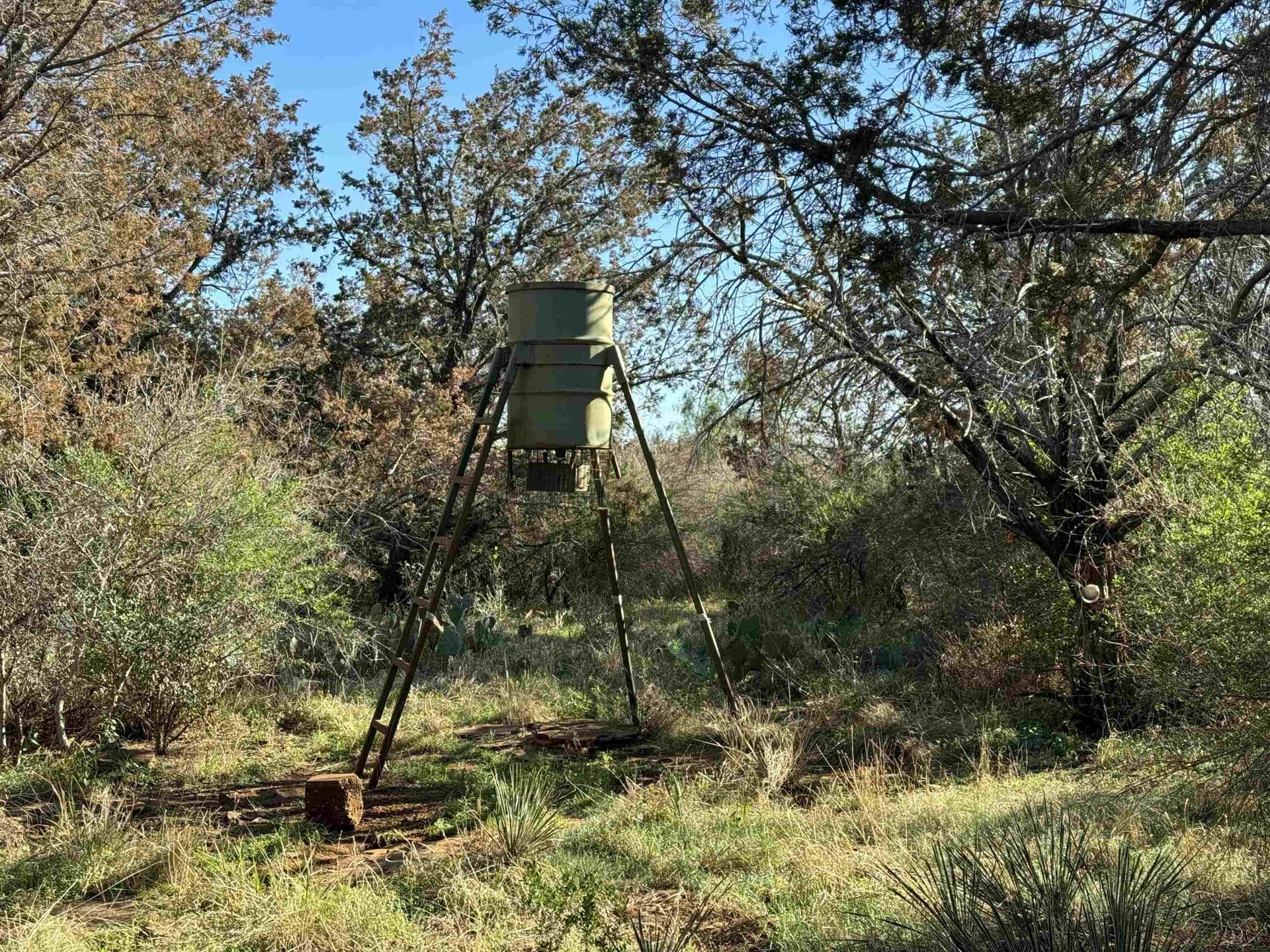 5 acres in Burnet County - photo 11