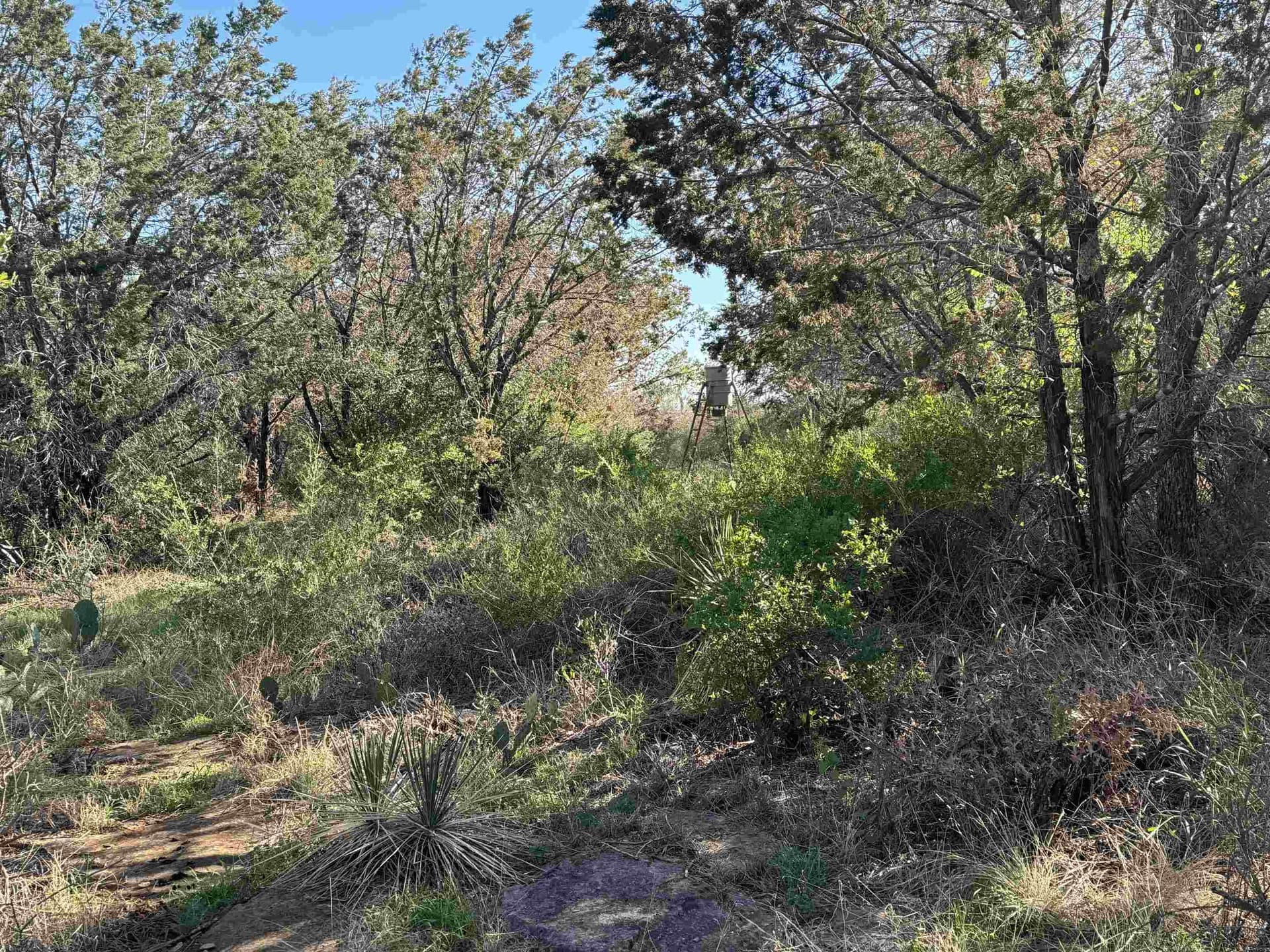 5 acres in Burnet County - photo 13