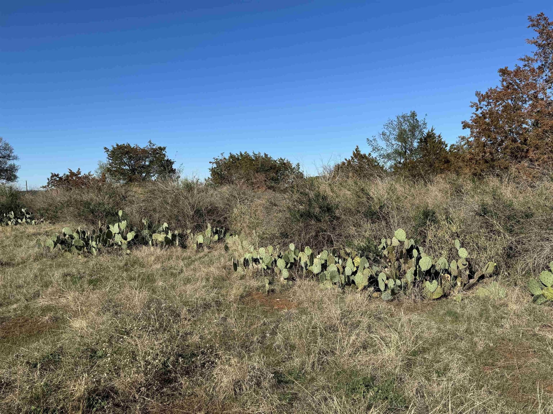 5 acres in Burnet County - photo 10