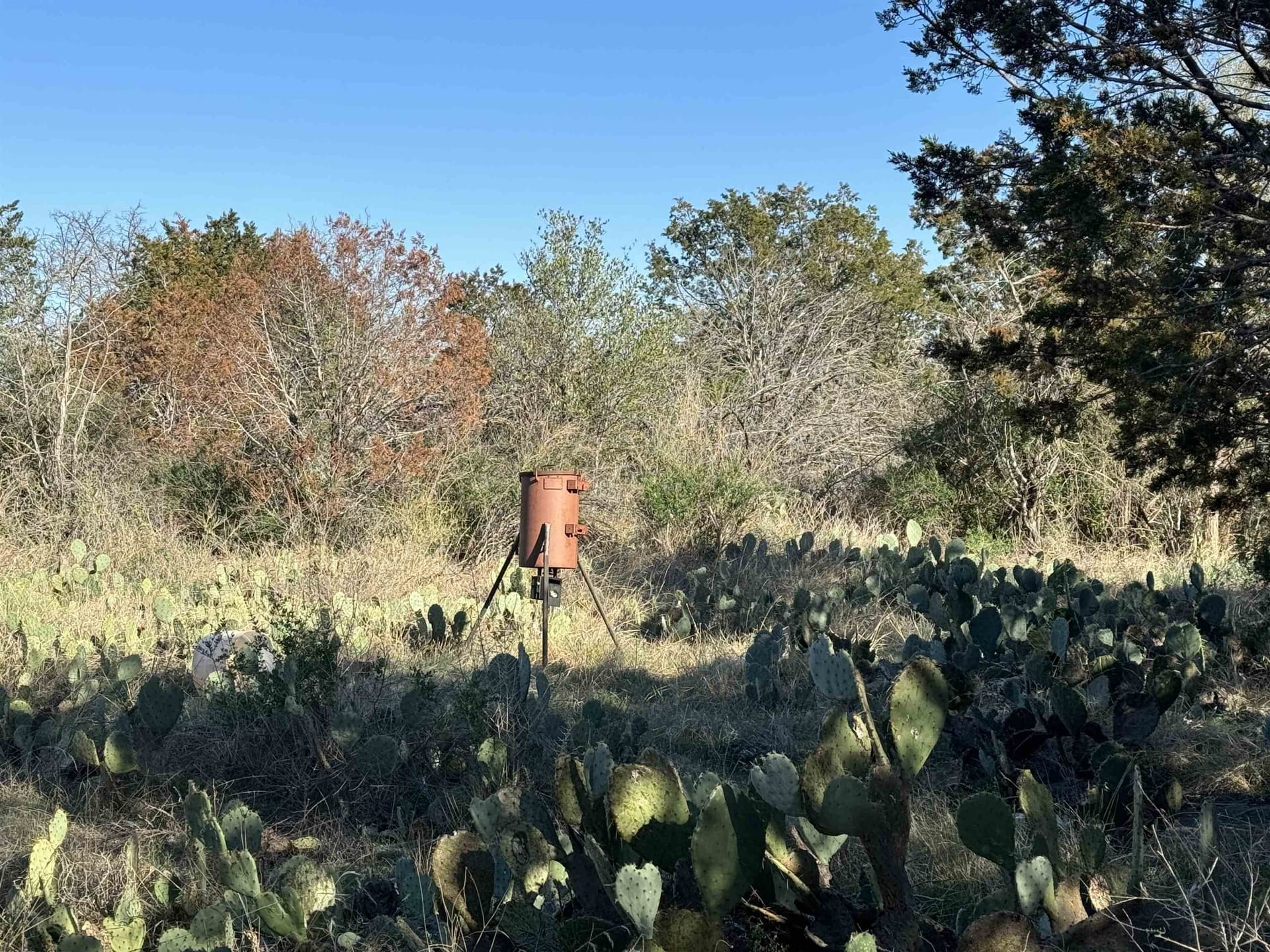 5 acres in Burnet County - photo 14