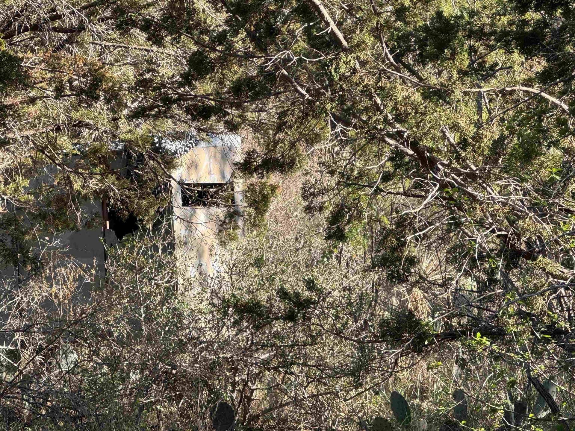 5 acres in Burnet County - photo 15