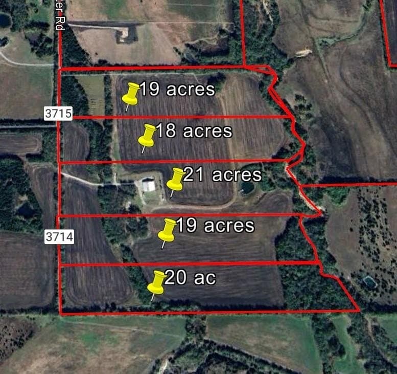 19 acres in Fannin County gallery image 3