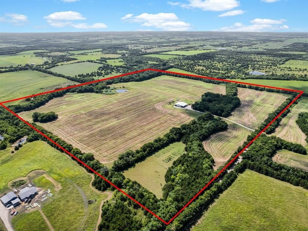 19 acres in Fannin County