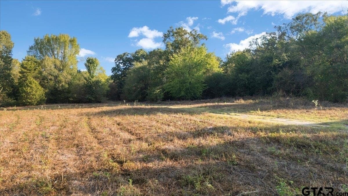 12 acres in Wood County - photo 41