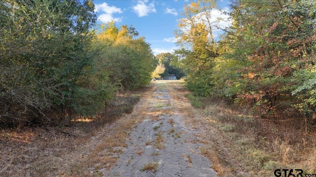 12 acres in Wood County - photo 38