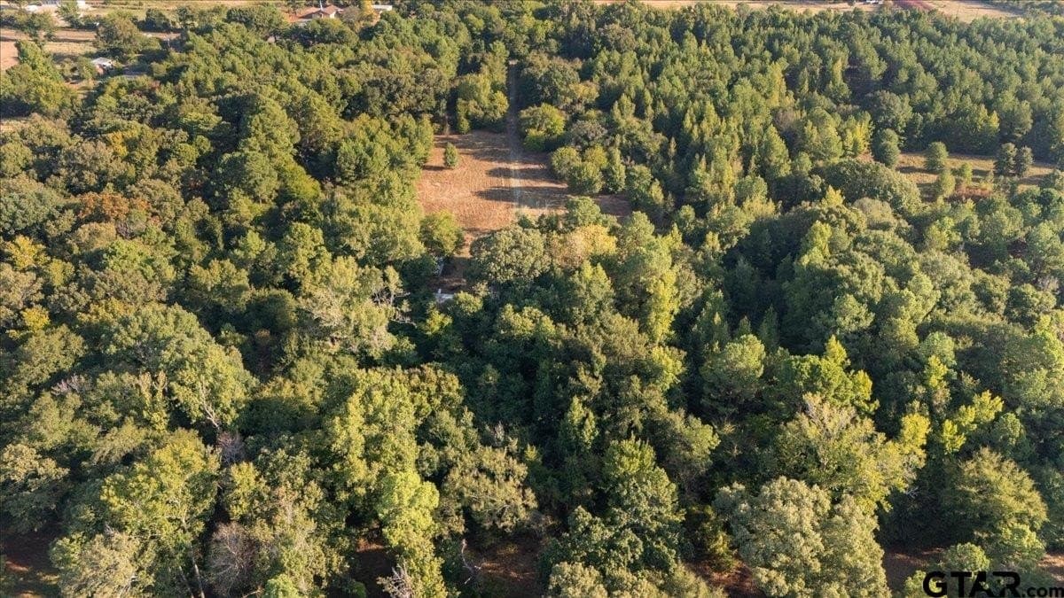 12 acres in Wood County - photo 47