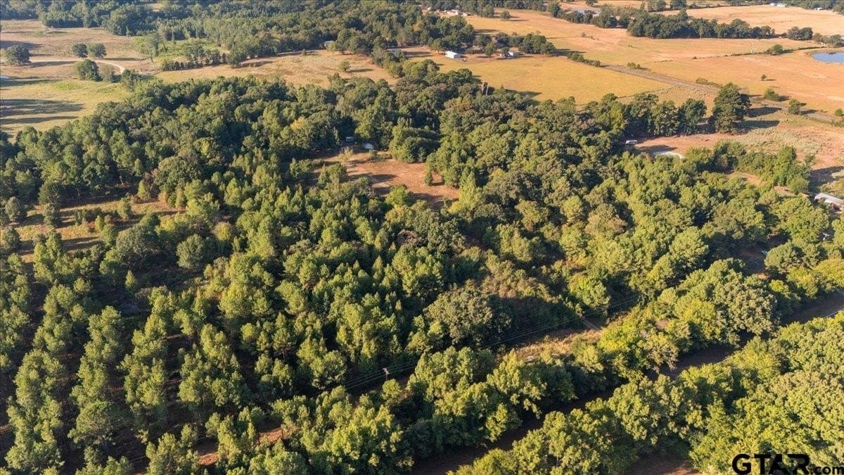 12 acres in Wood County - photo 46