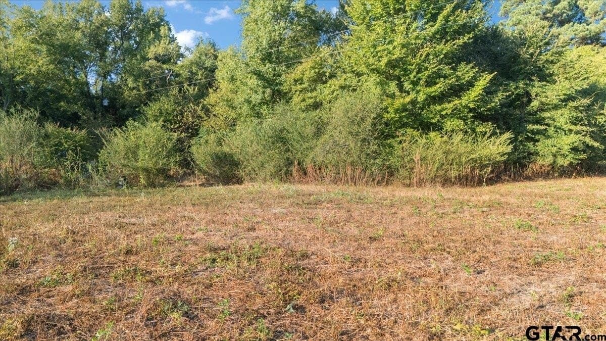 12 acres in Wood County - photo 40