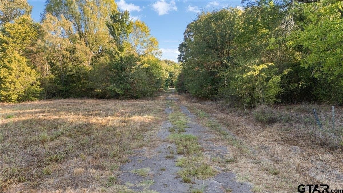 12 acres in Wood County - photo 39