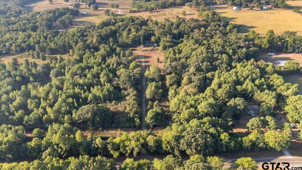 12 acres in Wood County - photo 44