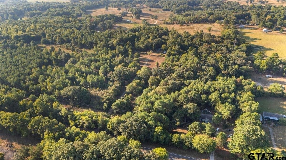 12 acres in Wood County - photo 45
