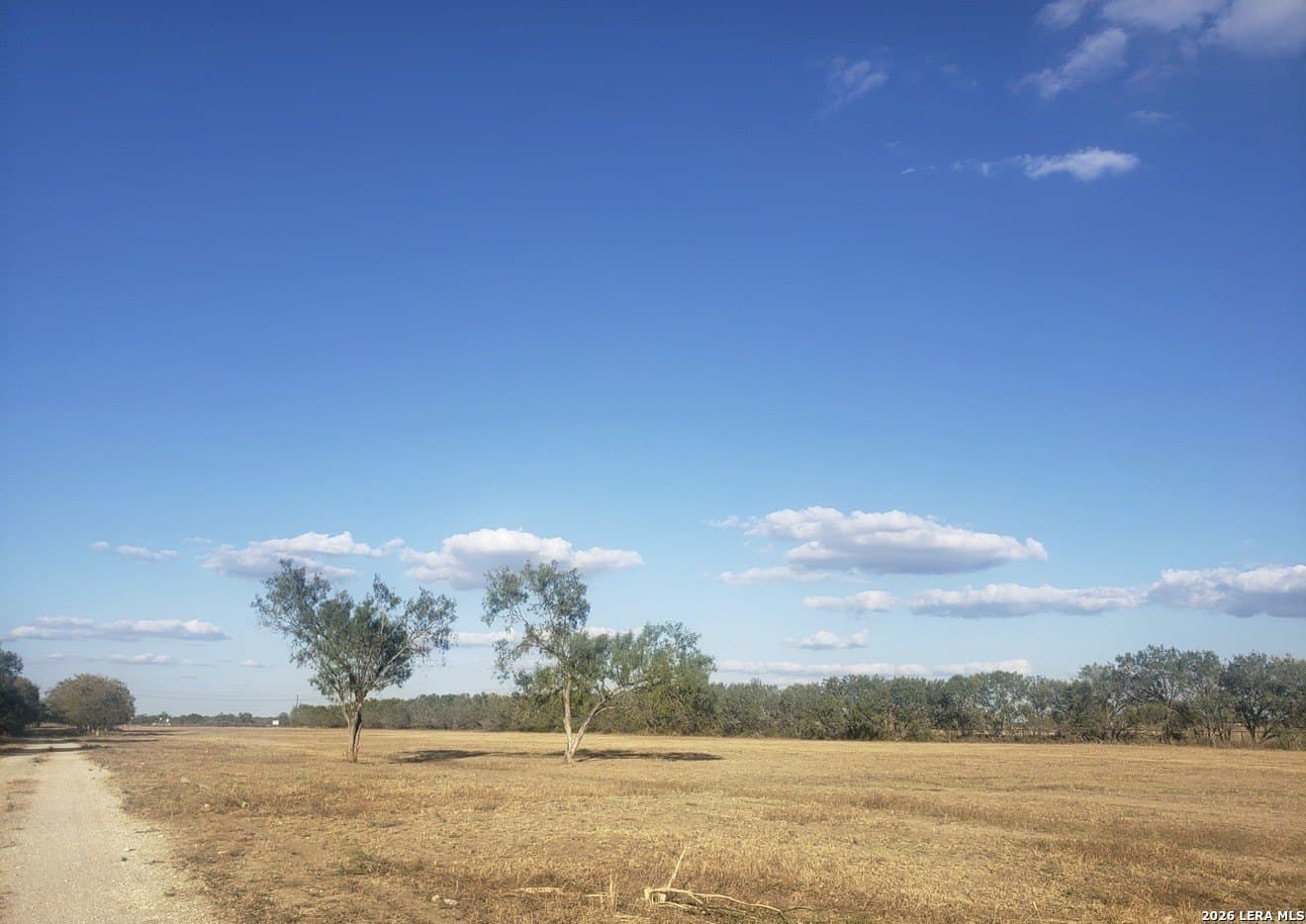 40 acres in Bexar County gallery image 3