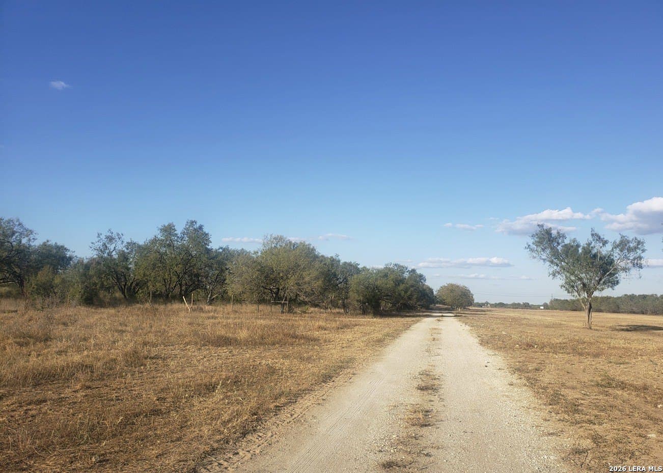 40 acres in Bexar County - photo 6