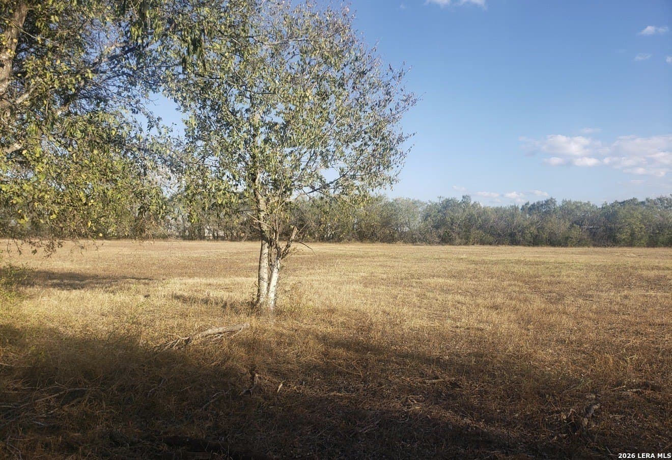 40 acres in Bexar County gallery image 2