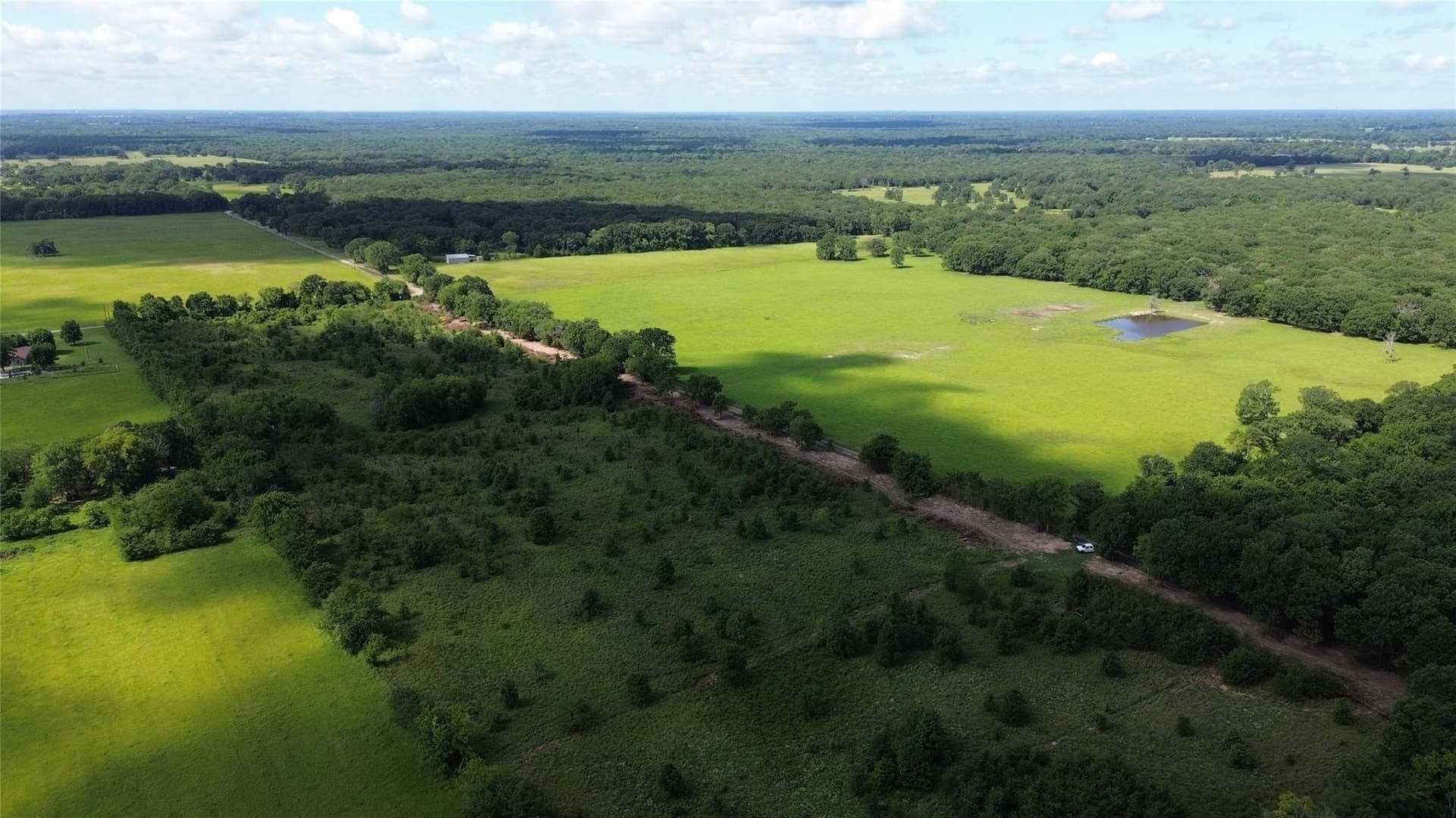 2 acres in Rains County gallery image 2