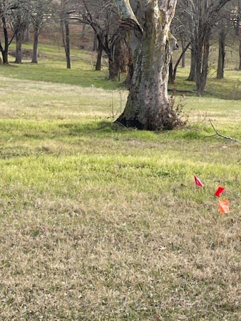 2.5 acres in HENDERSON County gallery image 4