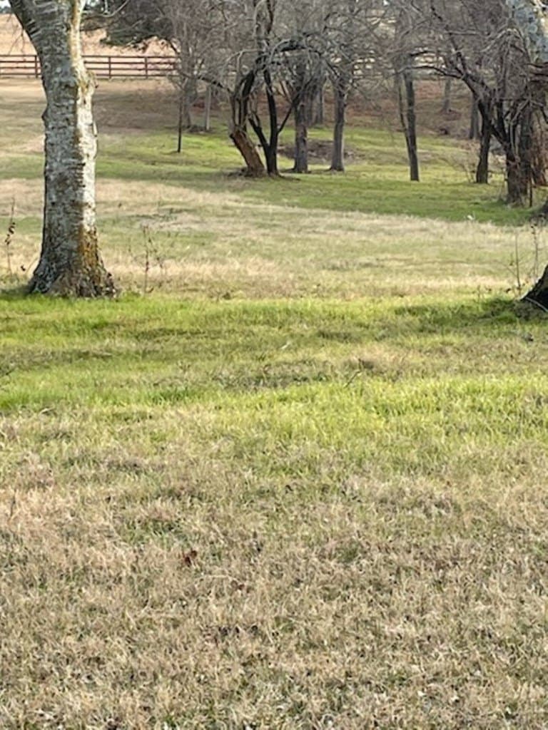 2.5 acres in HENDERSON County gallery image 2