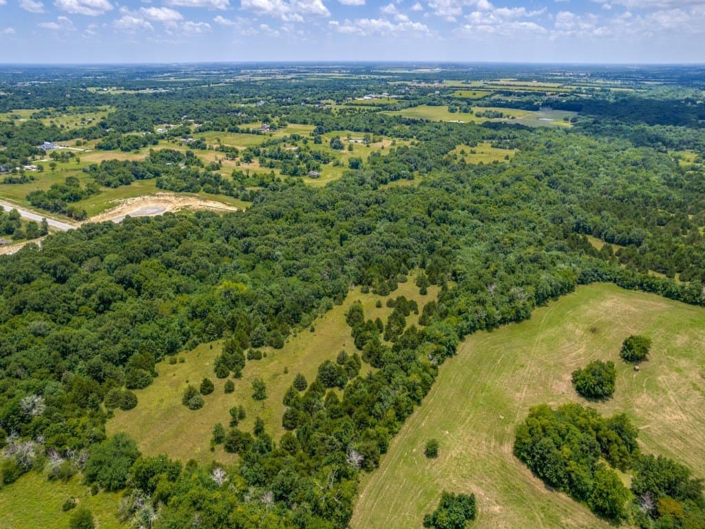 57.98 acres in Hunt County gallery image 4