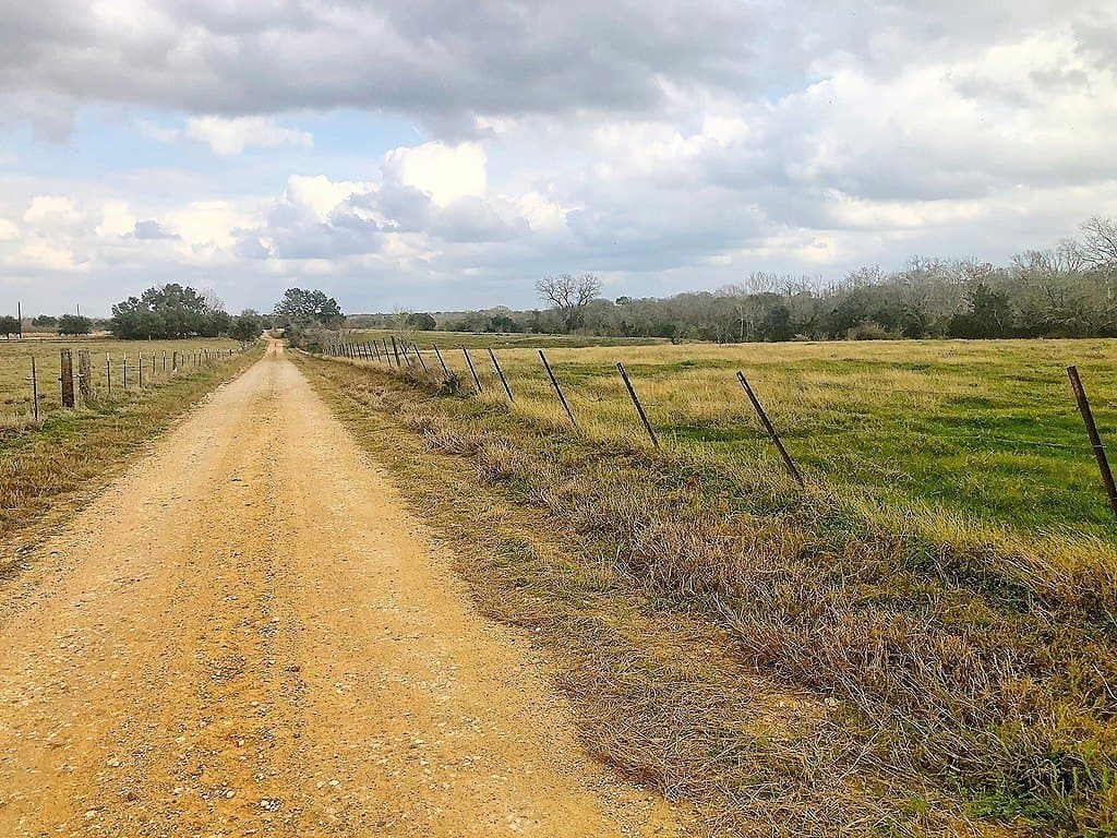 22.5 acres in Lavaca County gallery image 3