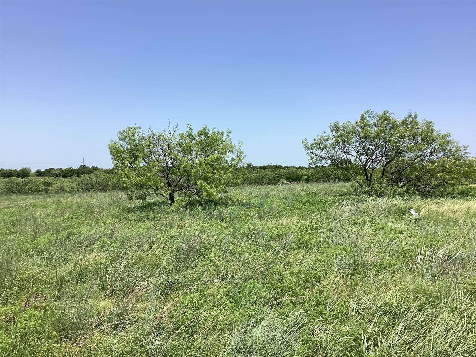 4.99 acres in Parker County - photo 2