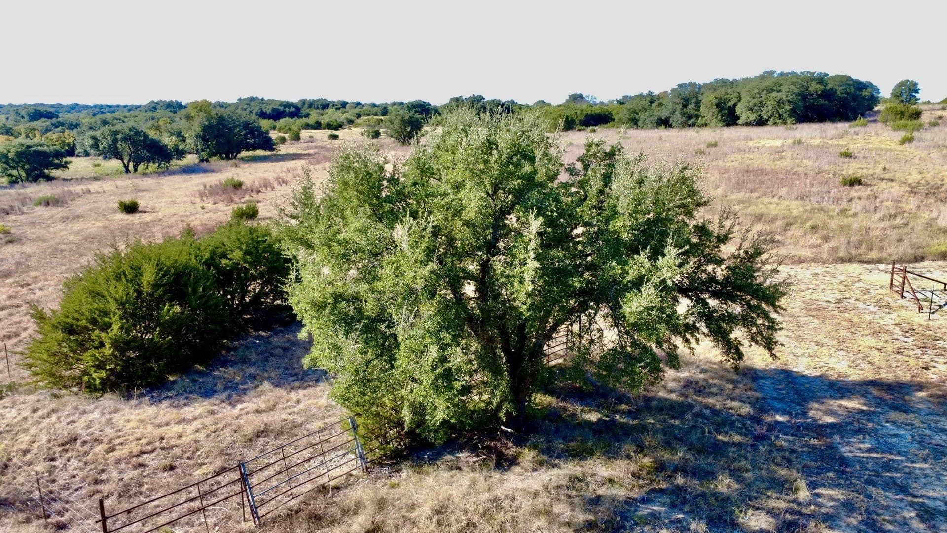 10.01 acres in Hamilton County - photo 32