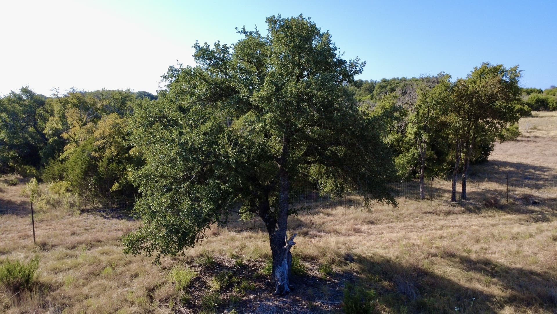 10.01 acres in Hamilton County - photo 34