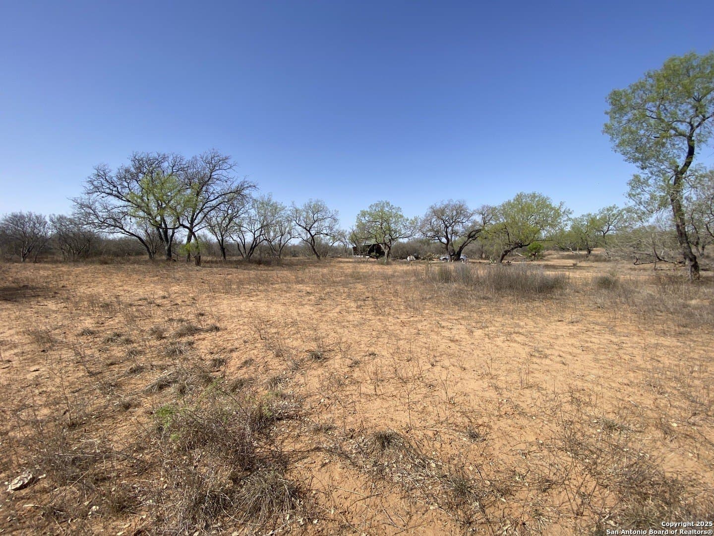 5.03 acres in Frio County - photo 4