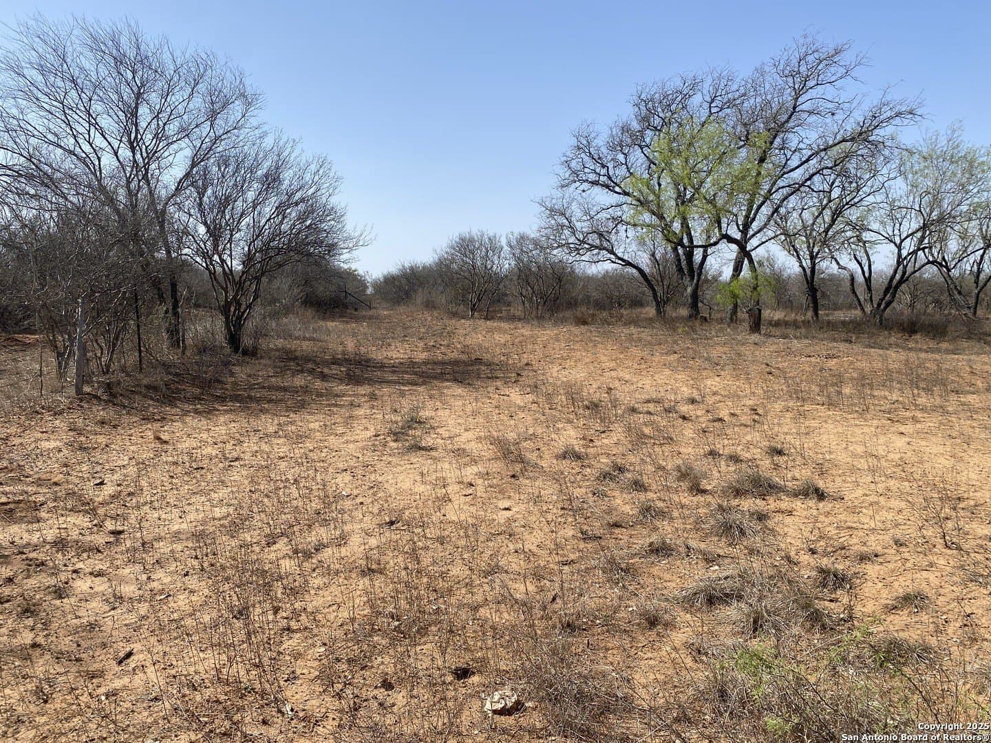 5.03 acres in Frio County - photo 5