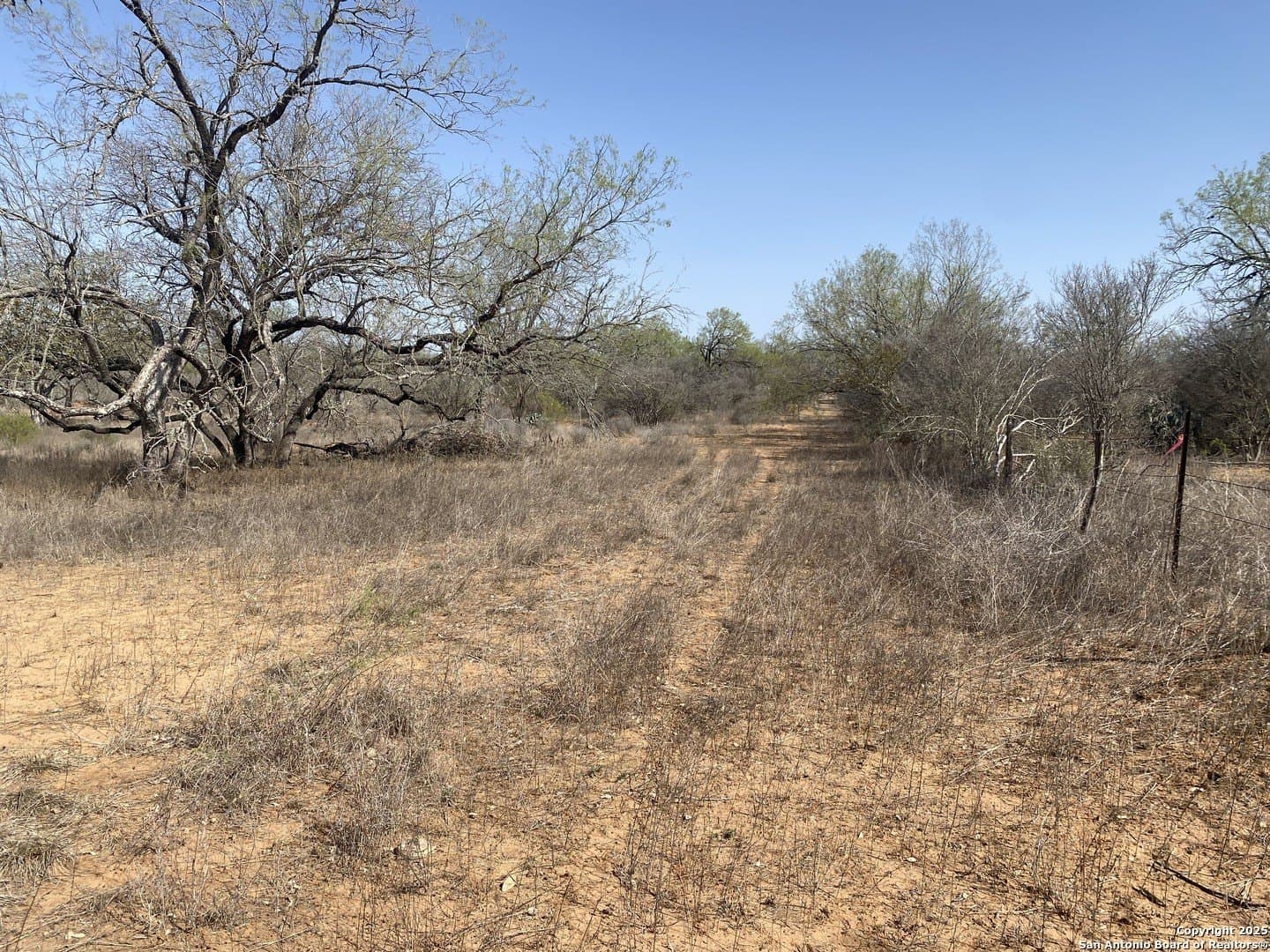 5.03 acres in Frio County - photo 6