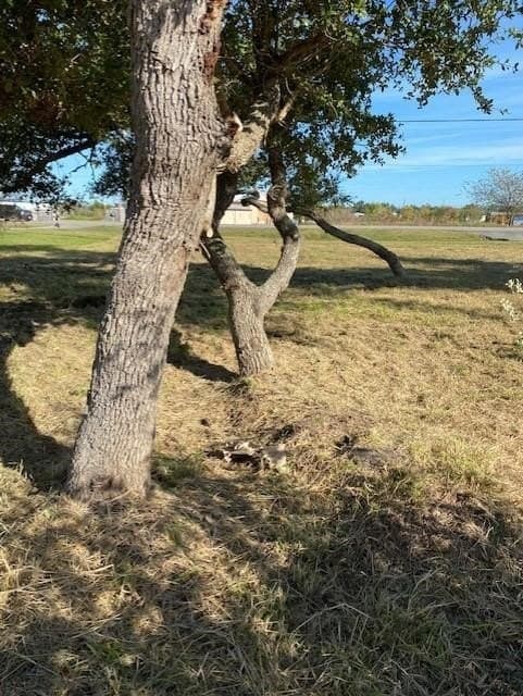 0.46 acres in Aransas County gallery image 2