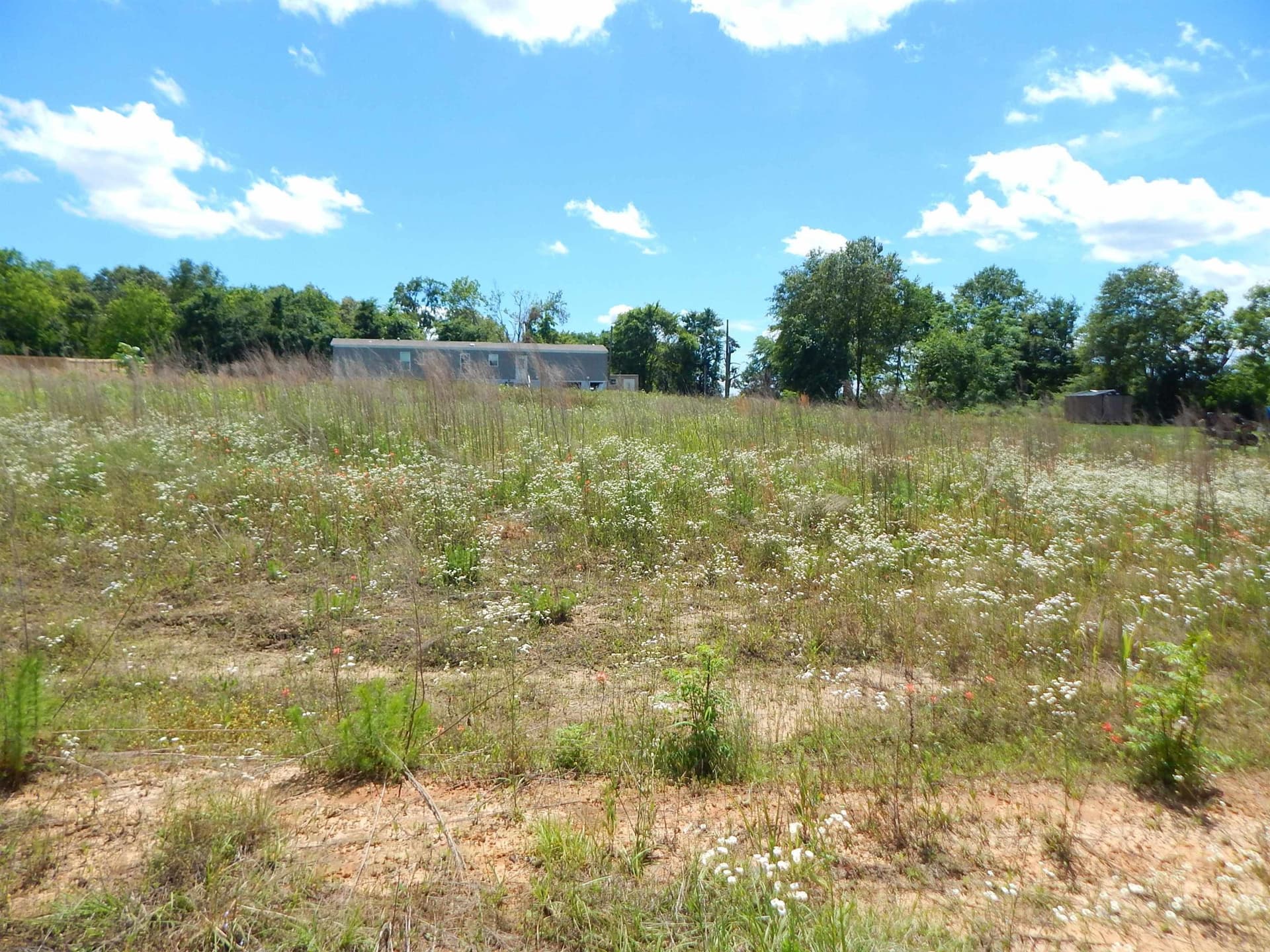 0.57 acres in Upshur County gallery image 2