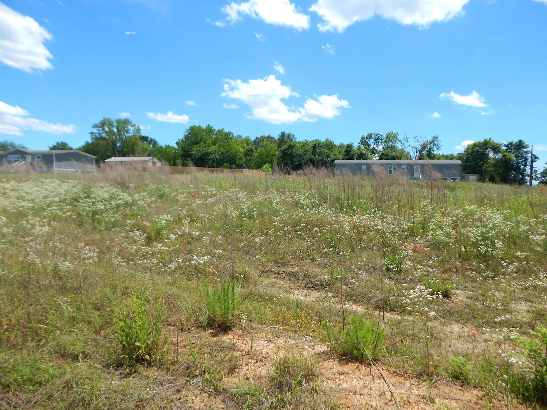 0.57 acres in Upshur County gallery image 3