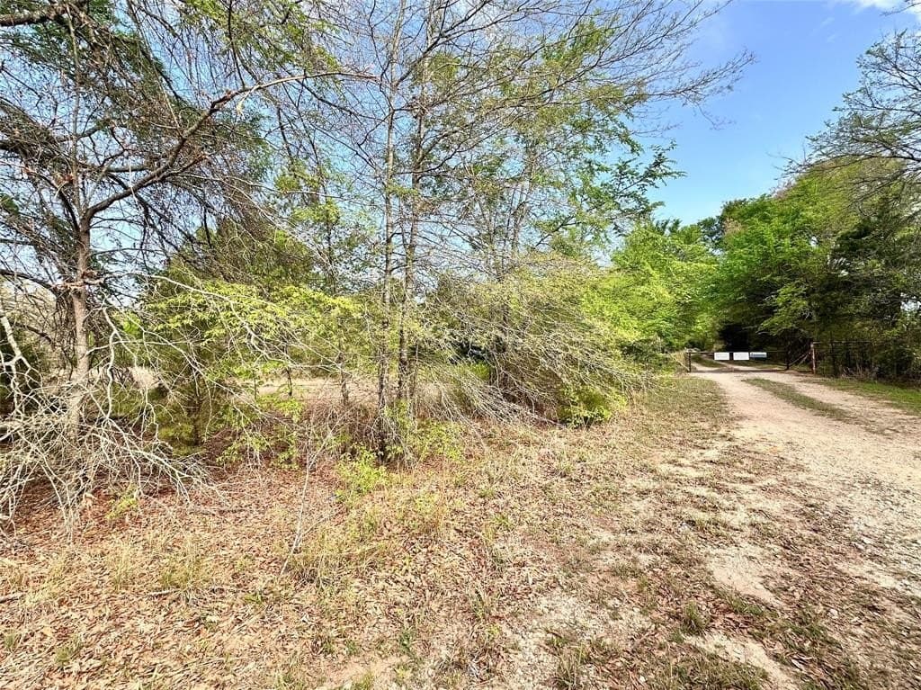 13.21 acres in Henderson County gallery image 3