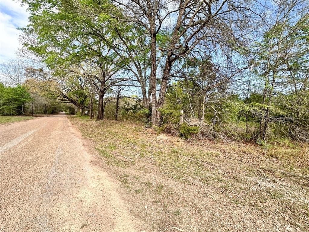 13.21 acres in Henderson County gallery image 2