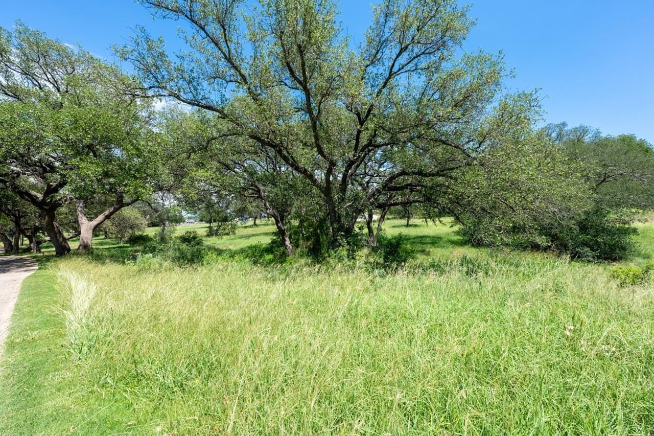 0.3 acres in Llano County - photo 6