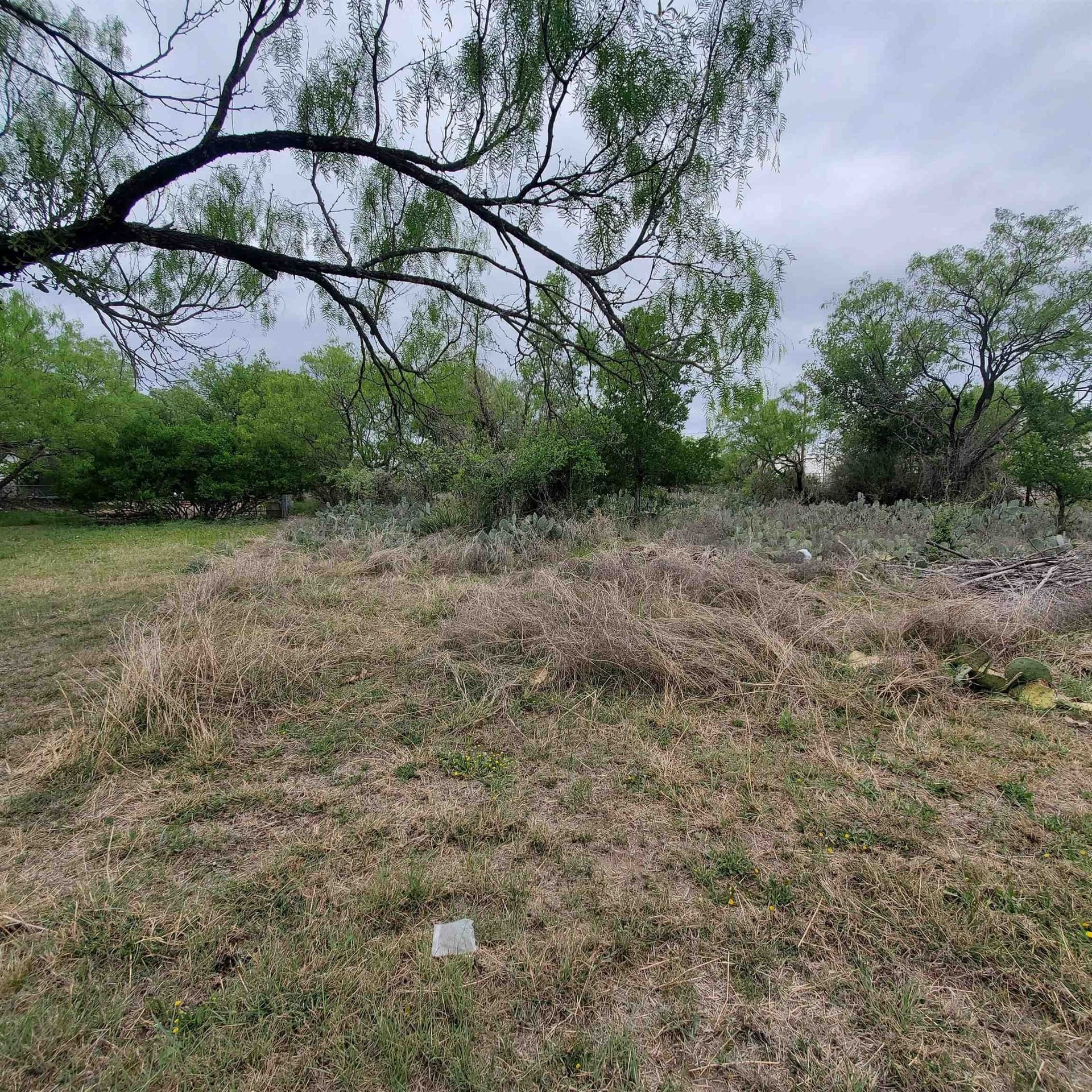 0.23 acres in Burnet County gallery image 3