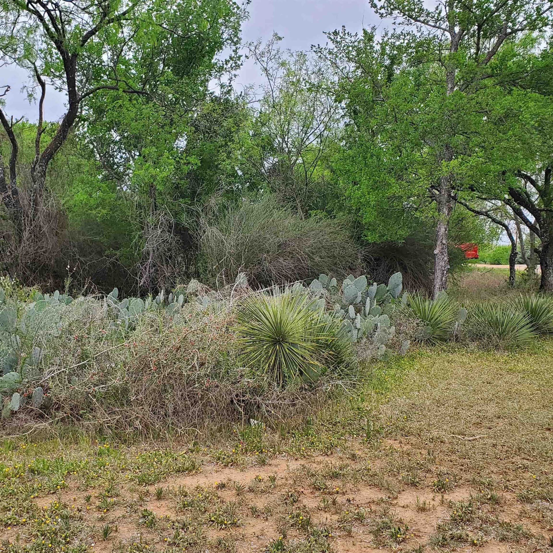 0.23 acres in Burnet County gallery image 2