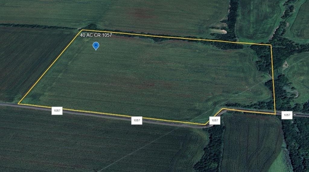 40 acres in Hunt County gallery image 3