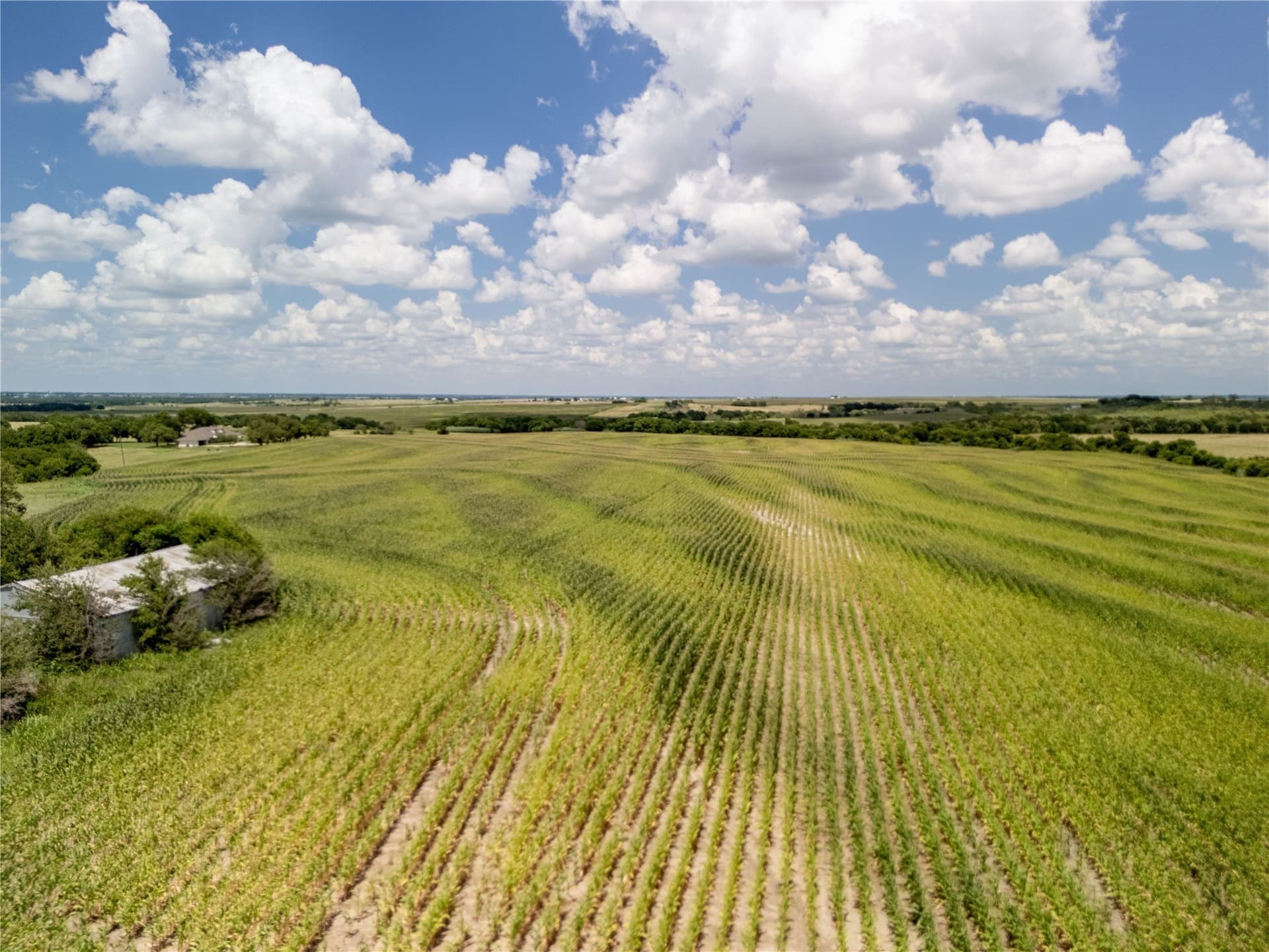 12.54 acres in Hill County - photo 8