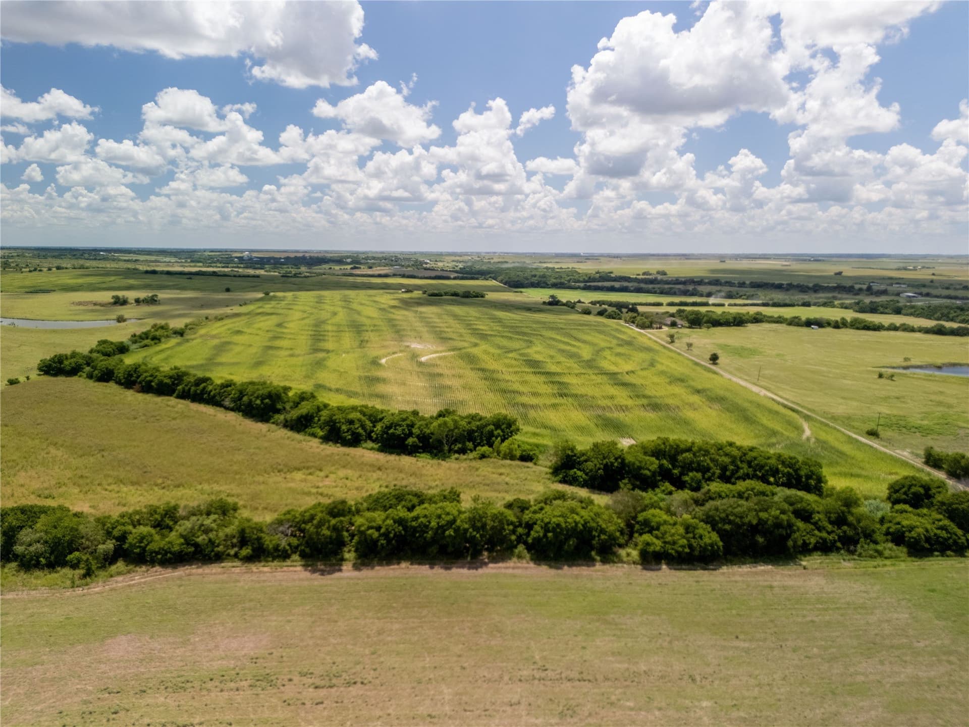 12.54 acres in Hill County - photo 11