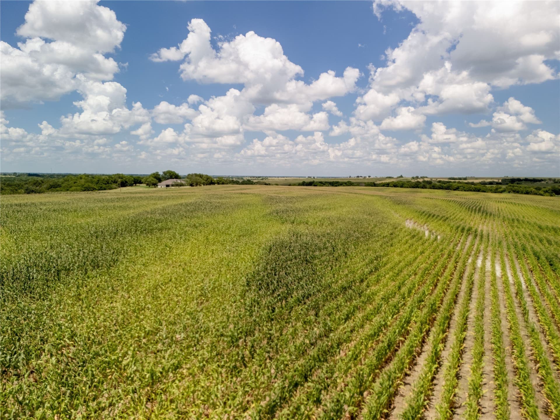 12.54 acres in Hill County - photo 9