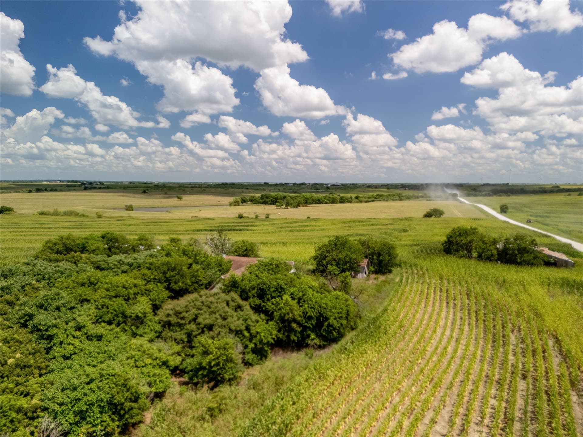 12.54 acres in Hill County - photo 6