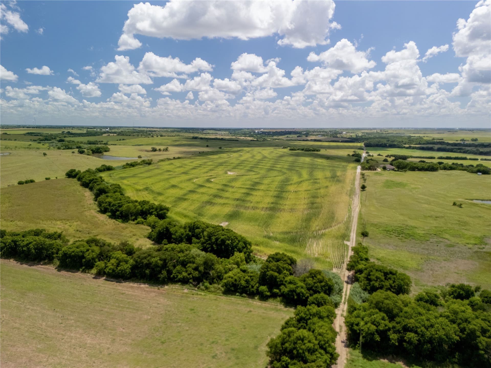 12.54 acres in Hill County - photo 12