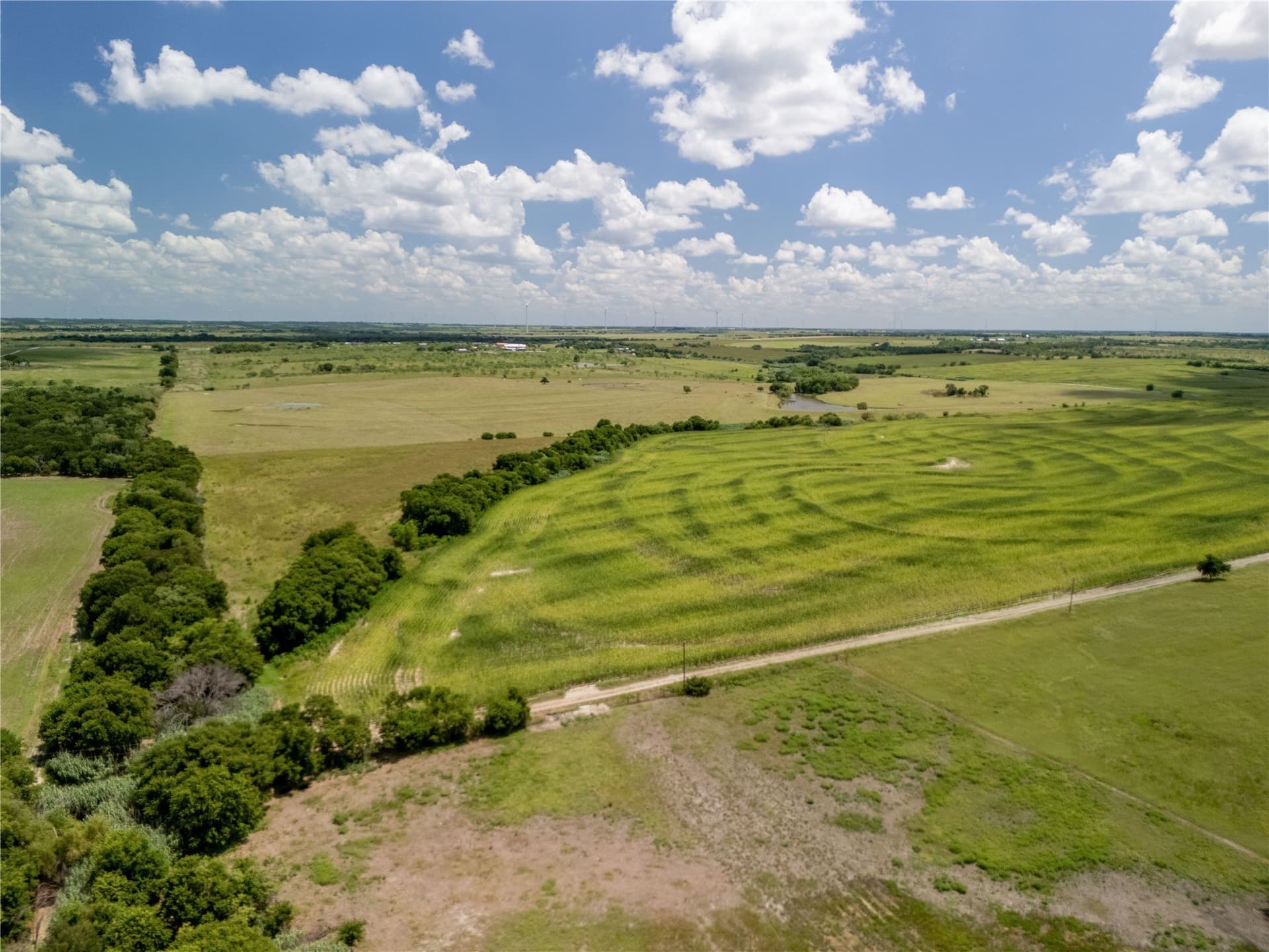 12.54 acres in Hill County - photo 14
