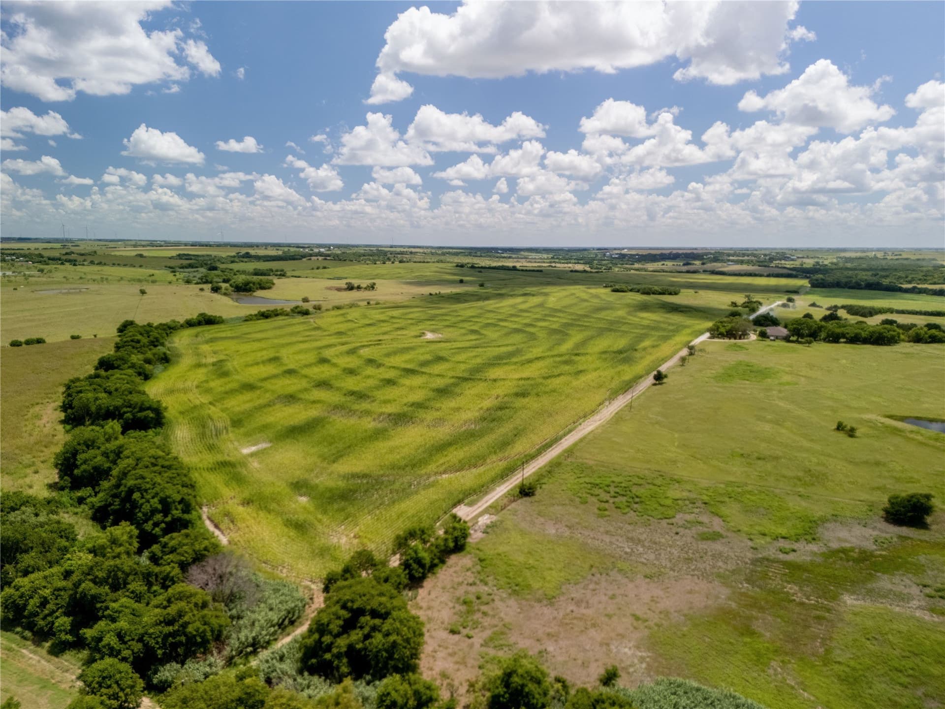12.54 acres in Hill County - photo 13