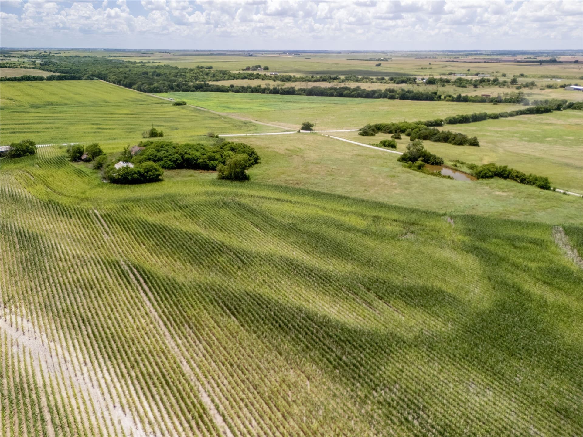 12.54 acres in Hill County - photo 4