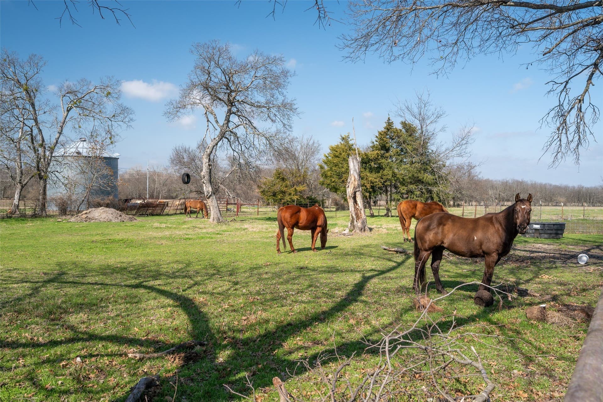 161.39 acres in Hunt County - photo 27